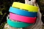 BioThane Martingale Limited Slip Collar - Hardware Stainless Steel