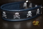 dogs-art Skulls Martingale Leather Collar - dark blue/black/skulls silver-black