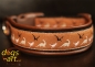 dogs-art Dino Easy Release Buckle Leather Collar - dark brown/black/dino