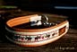 dogs-art Rudolph Martingale Chain Collar 001