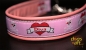 dogs-art Diva Martingale Chain Leather Collar - pink/silver/diva
