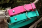 BioThane Martingale Limited Slip Collar - Hardware Stainless Steel