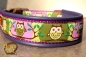 dogs-art Owl Easy Release Buckle Leather Collar - electric purple/purple/owl forest