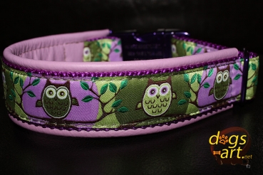 owl dog collar